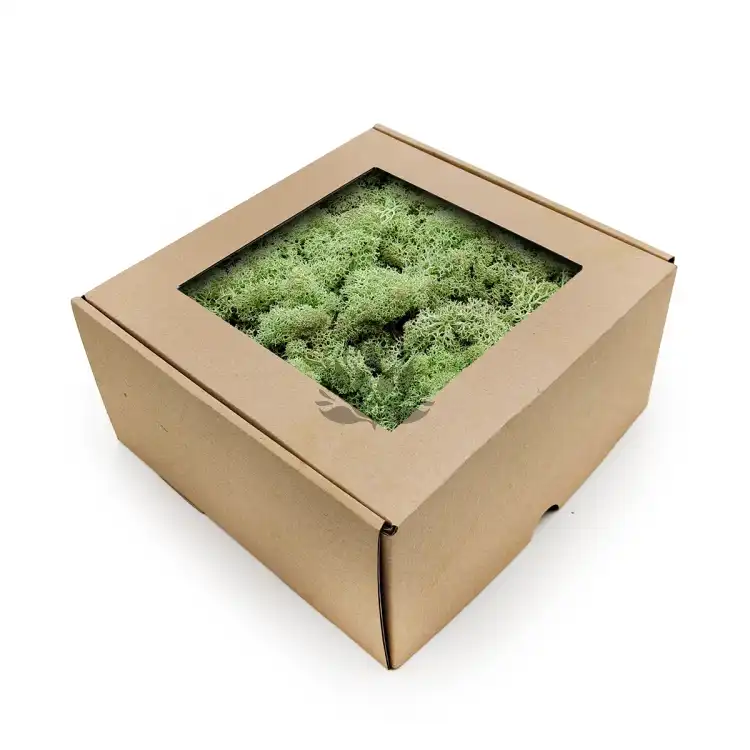 Nor Mint 3.png
