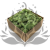 Nor Mint.png
