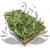 Nor Mint 2.png