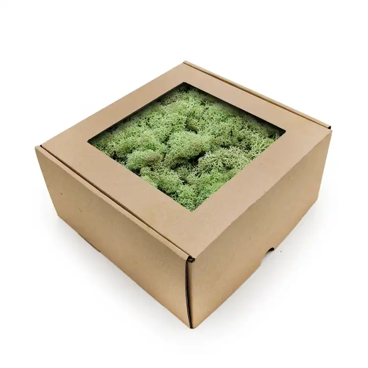 Nor Mint 3.png