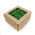 Nor TC 3 (1).png