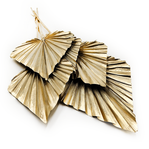 palm spear zloty suszony okladka.png