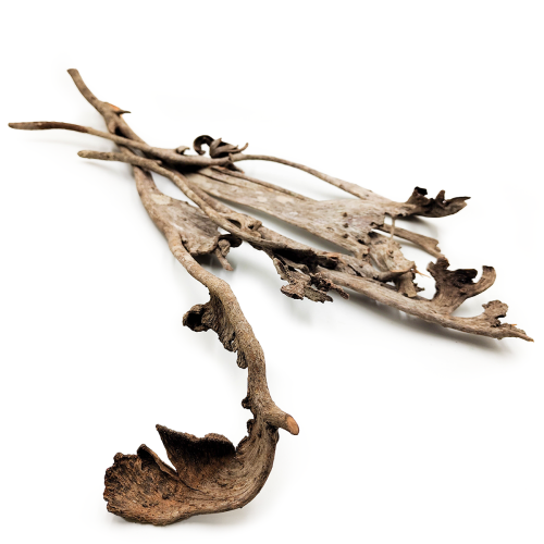 Natraj Naturalny Łosie Rogi.png
