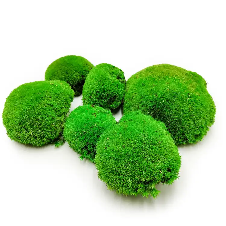 Mech Poduszkowy Szwedzki Premium Średnia Zieleń okladka.png