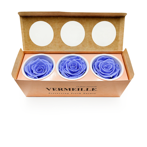 Róża Stabilizowana Marine Blue pud otw.png