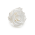 Róża Stabilizowana Princess White skos.png