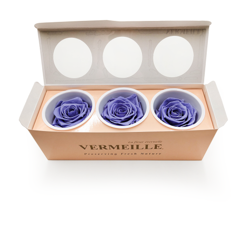 Róża Stabilizowana Very Grape pud otw.png