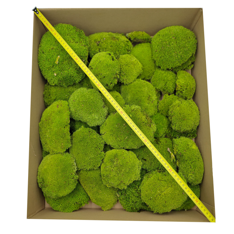 Poduszka Szwedzka Premium Jasna Zieleń Duże Opakoanie metr.png