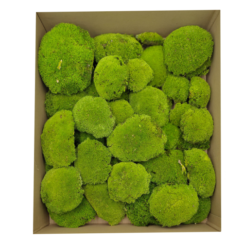 Poduszka Szwedzka Premium Jasna Zieleń Duże Opakowanie.png