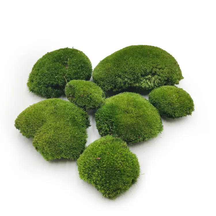 Mech Poduszkowy Szwedzki Premium Ciemna Zieleń okladka.png