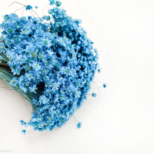 Gliksja glixia suszona Niebieska 50g 1.png