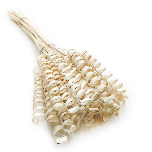 Cane Spring okl.png