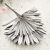 Palm SUN Silver Palma suszona srebrna2.png