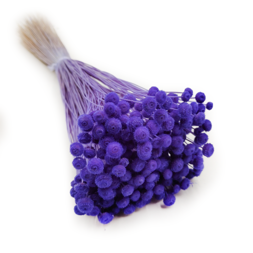 Amarelino Botao Głęboki Lawendowy Fiolet.png