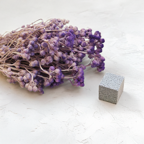 Lonas Lilac suszony kwiat.png