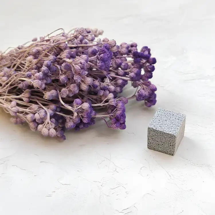 Lonas Lilac suszony kwiat.png