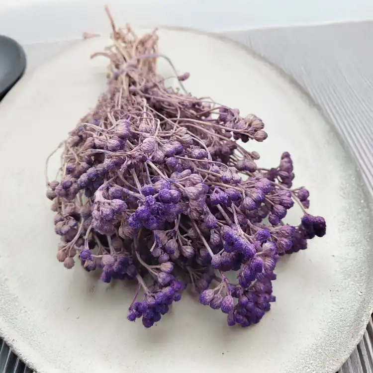 Lonas Lilac suszony kwiat5.png