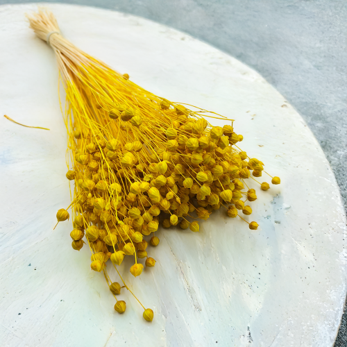 Len Suszony - Zolty6.png