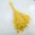 Broom Bloom żółty 3.jpg