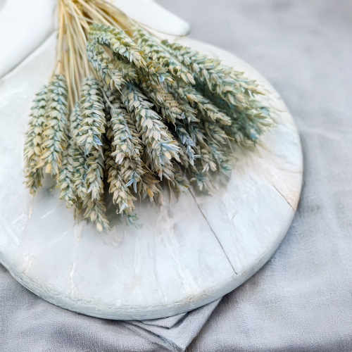 Pszenica suszona jasnoniebieksa 2.png