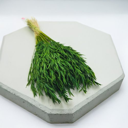 Owies suszony butelkowa zieleń 1.png