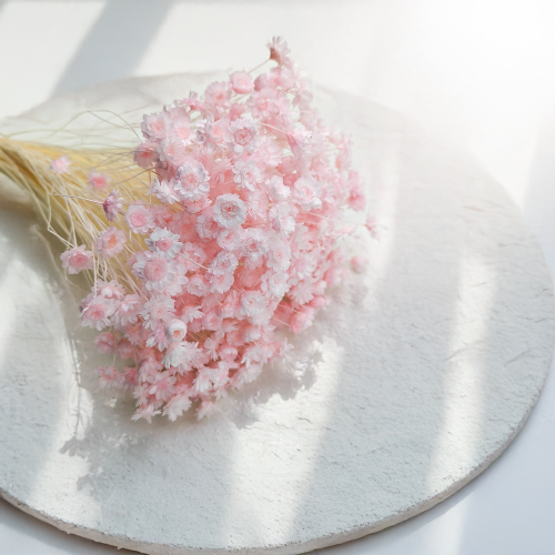 Glixia Jasnoróżowa gliksja suszona kwiaty suszone bukiet 50g_40 2.png