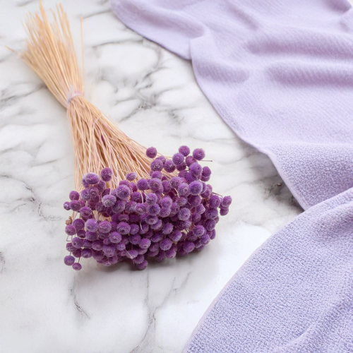 Amarelino Lila 1.png