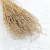 Lepidium Naturalne Suszone 6 (1).png