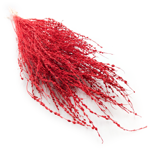 Lepidium Czerwone Suszone 5.png