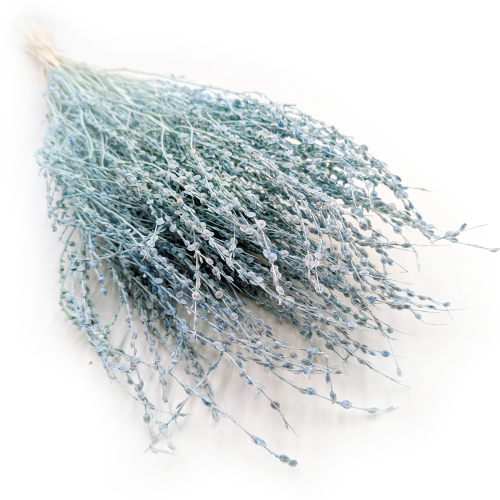 Lepidium miętowe suszone 5.png