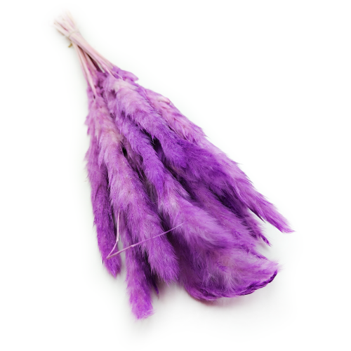 Mini pampas Fioletowy 3.png