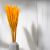 Mini pampas Pomarańczowy 4.png