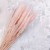 Mini Pampas Różowy 1.png