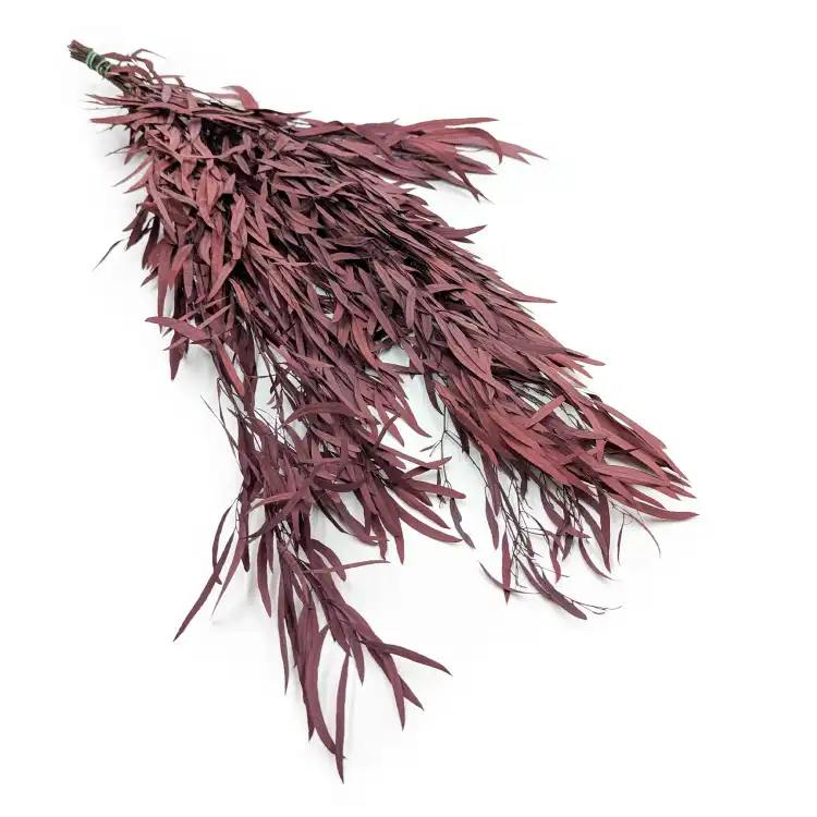 Eukaliptus Nicoly Czerwony (1).png