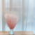 Stipa różowa 4.png