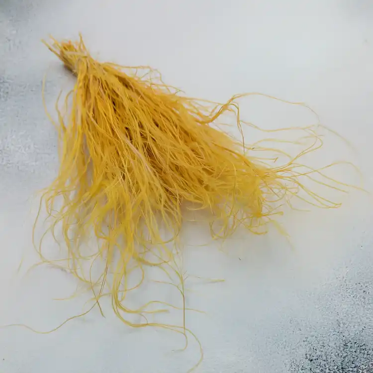 Stipa imbirowa.png