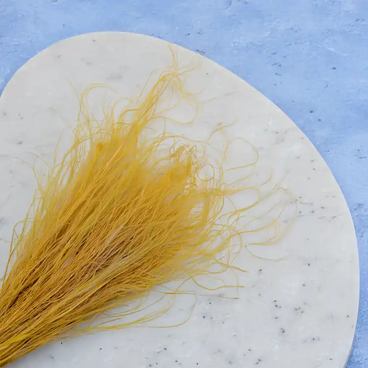 Stipa imbirowa 2.png