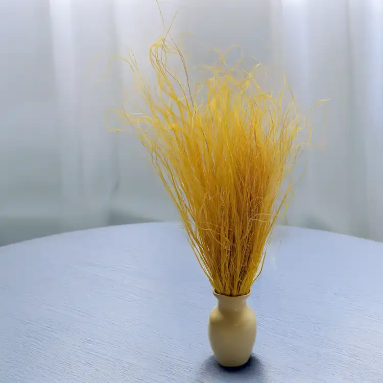 Stipa imbirowa 3.png