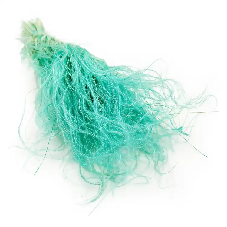 Stipa miętowa.png