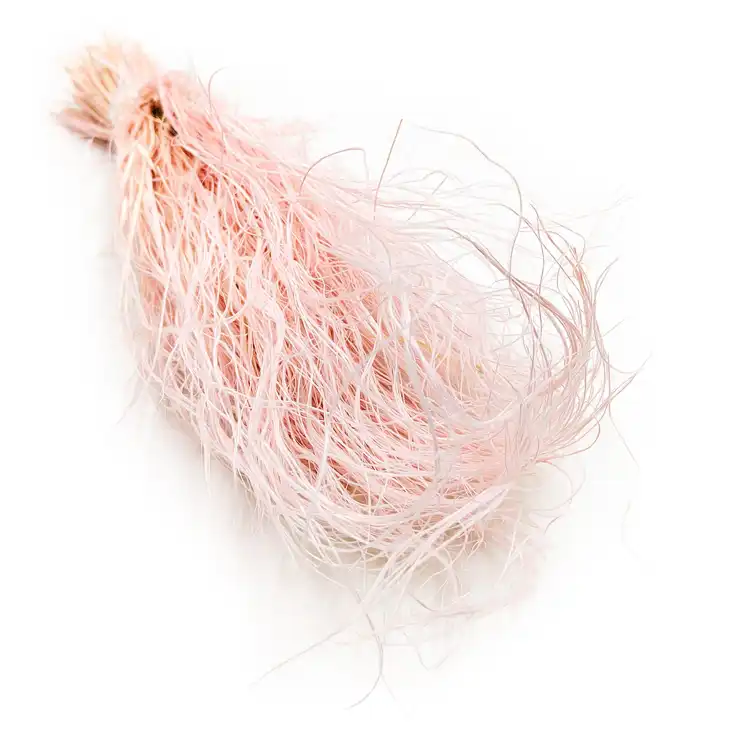 Stipa jasno różowa.png