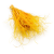 Stipa Imbirowa.png