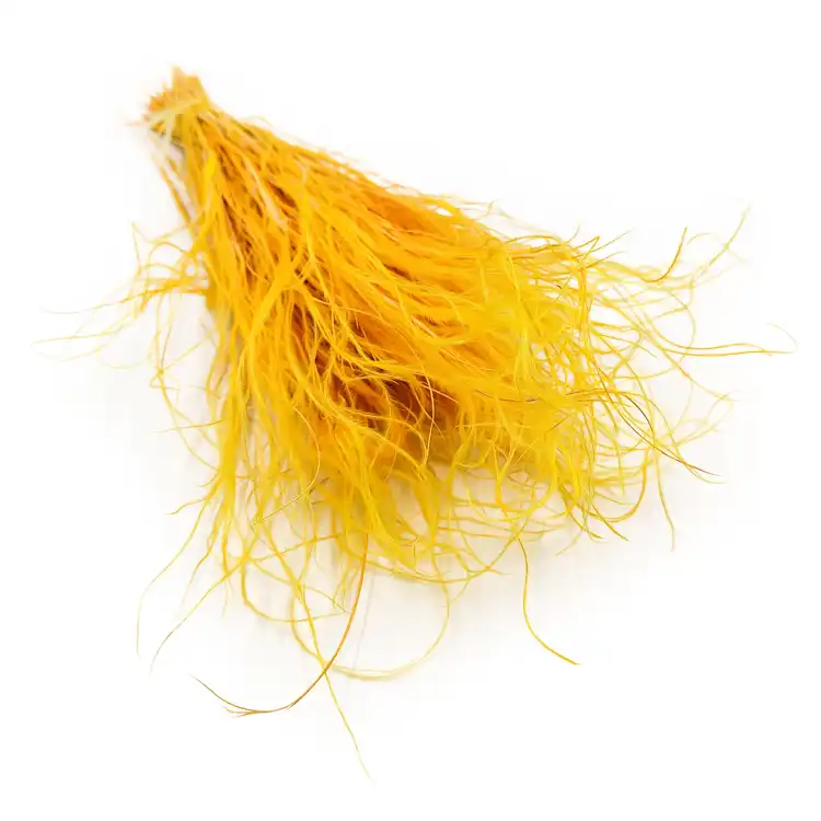Stipa Imbirowa.png