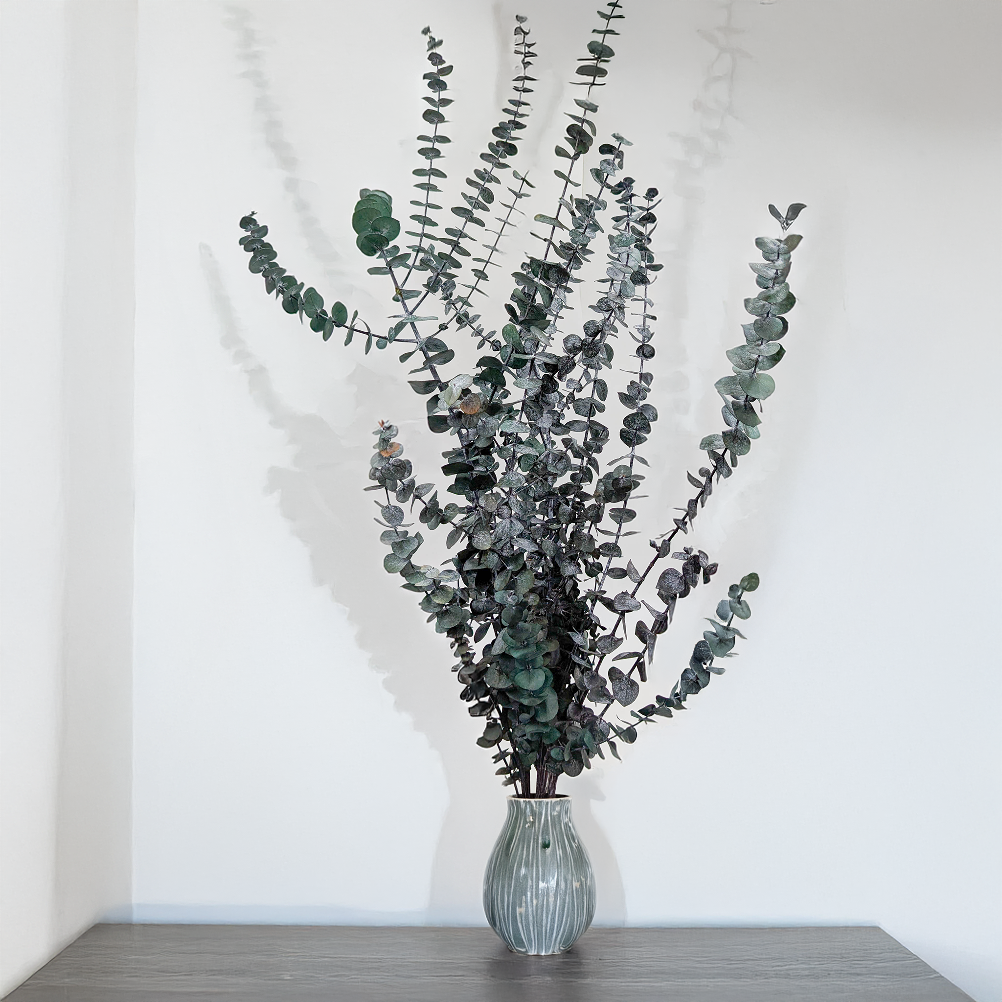 Eukaliptus Baby Blue naturalny