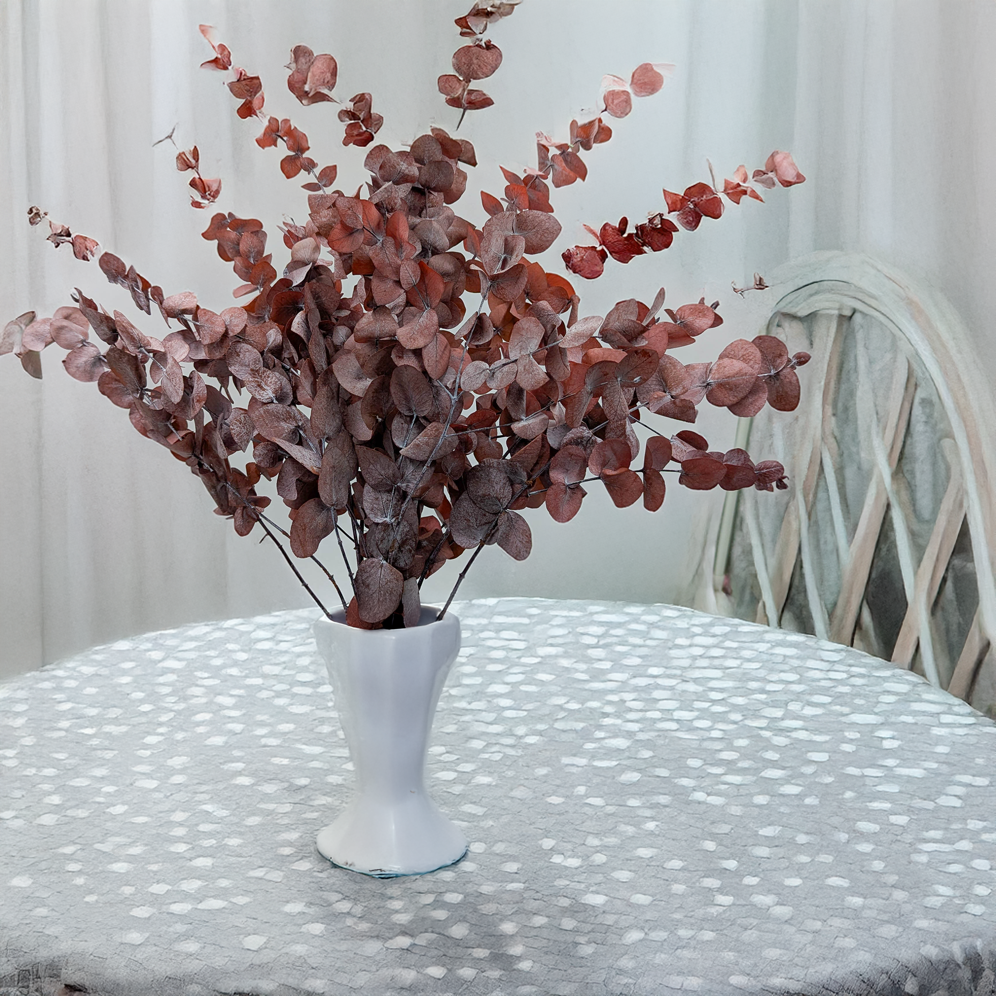 Eukaliptus Cinerea czerwony