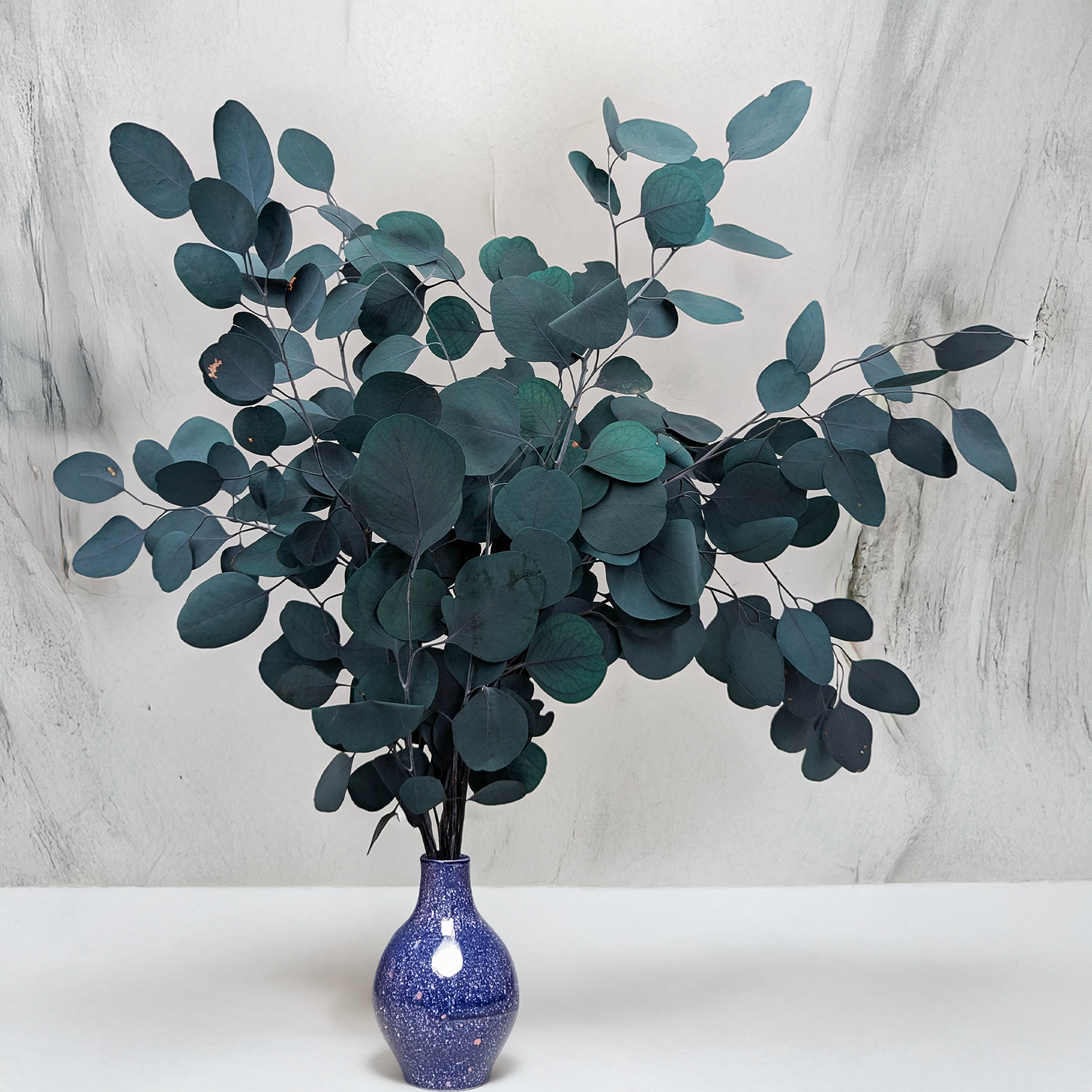 Eukaliptus Populus zielony