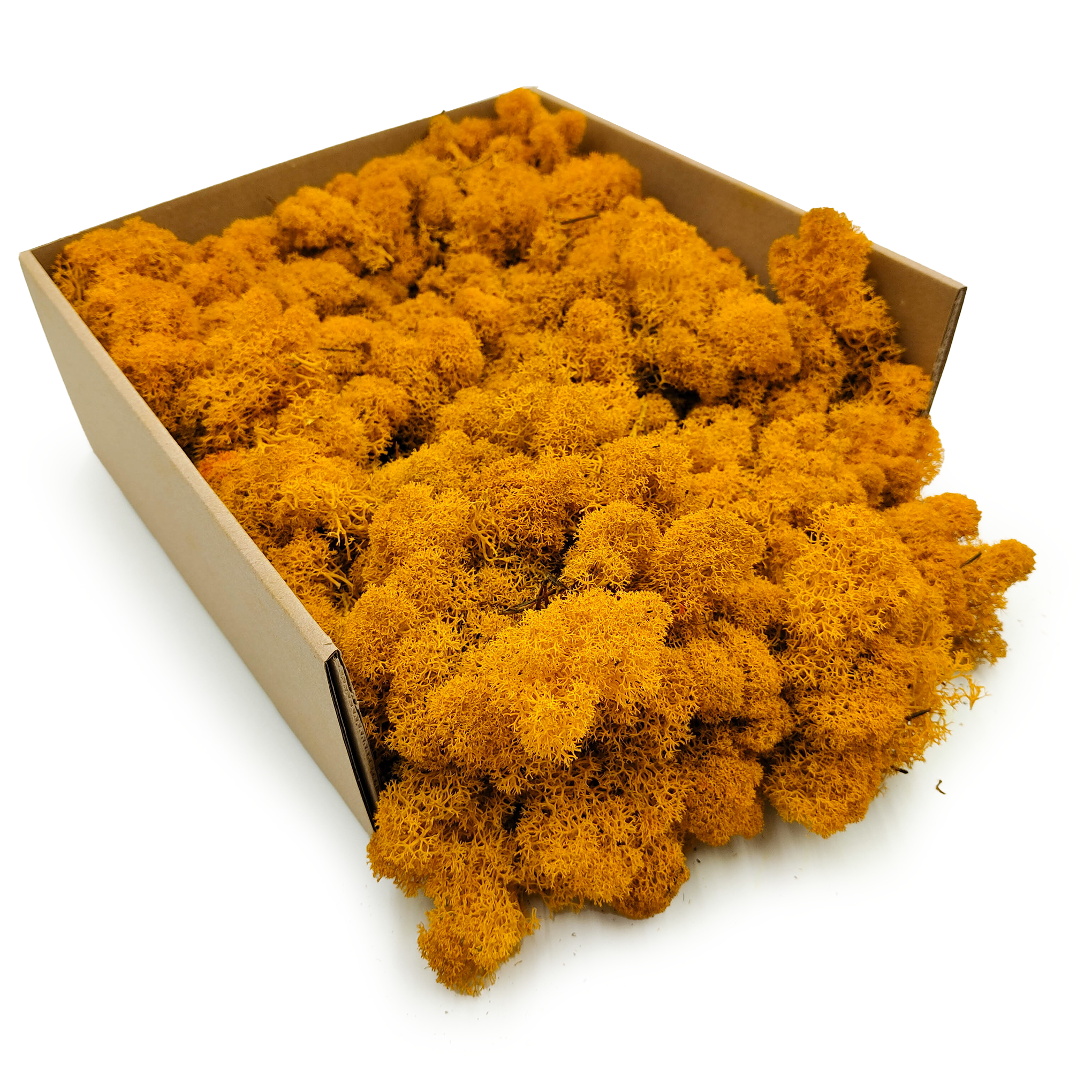 Mech Chrobotek Reniferowy - Fiński - Oczyszczony - Ciemnożółty 2KG NETTO