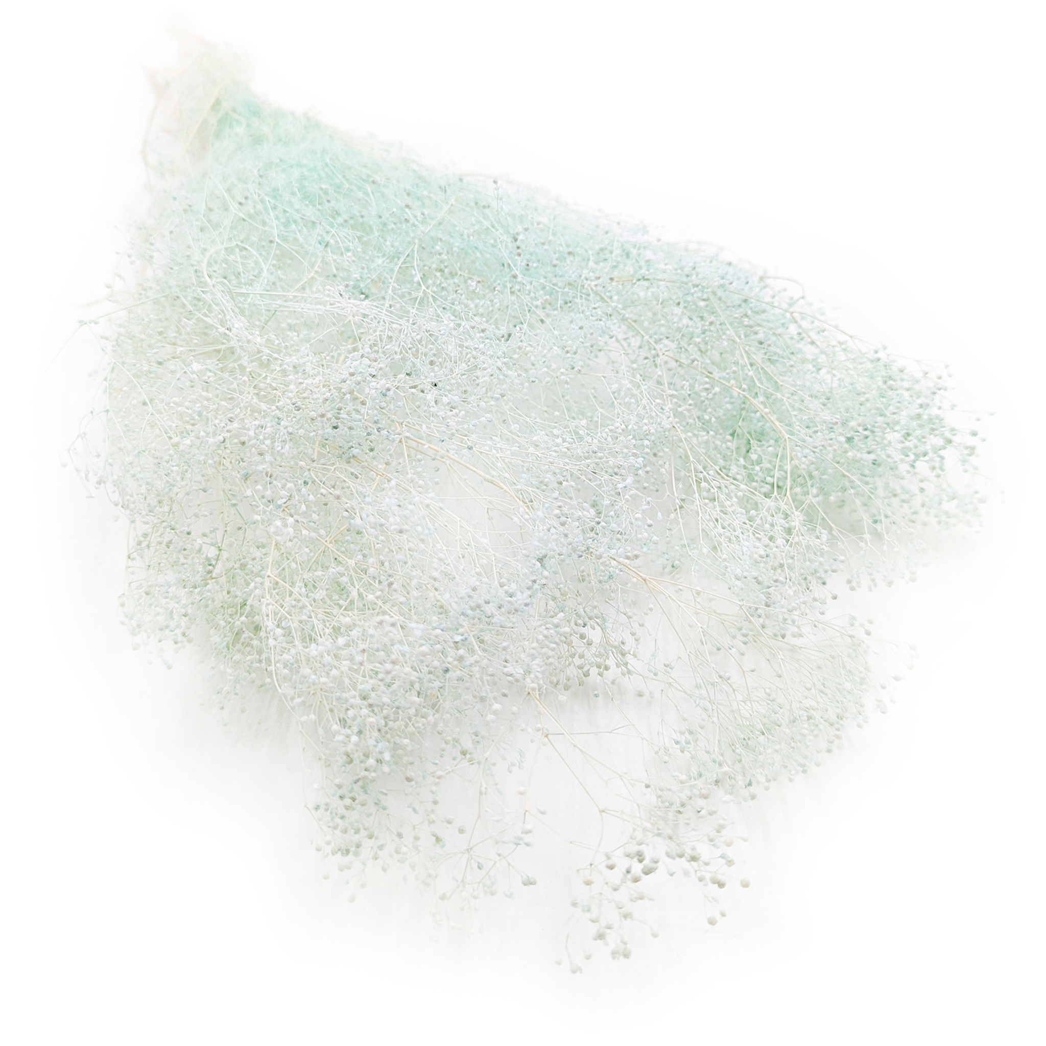 Gipsówka Stabilizowana MINI - (gypsophila) - Miętowa