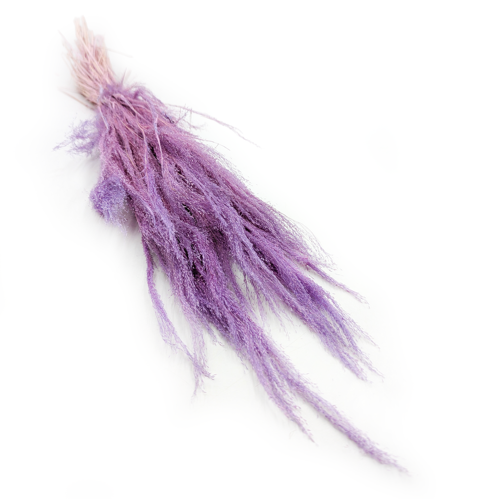 Mietlica Suszona – Trawa Agrostis – Lila