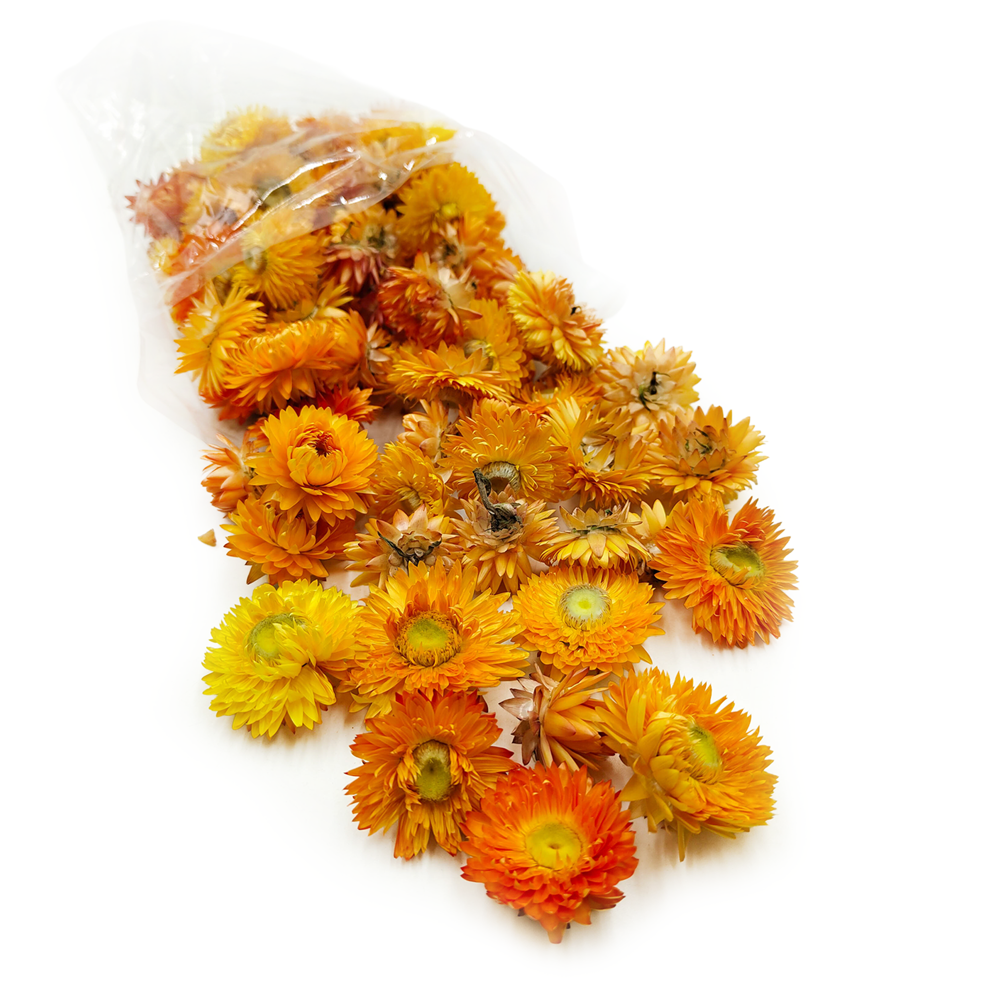 Kocanka Suszona - Główki - (Helichrysum) - Pomarańczowa