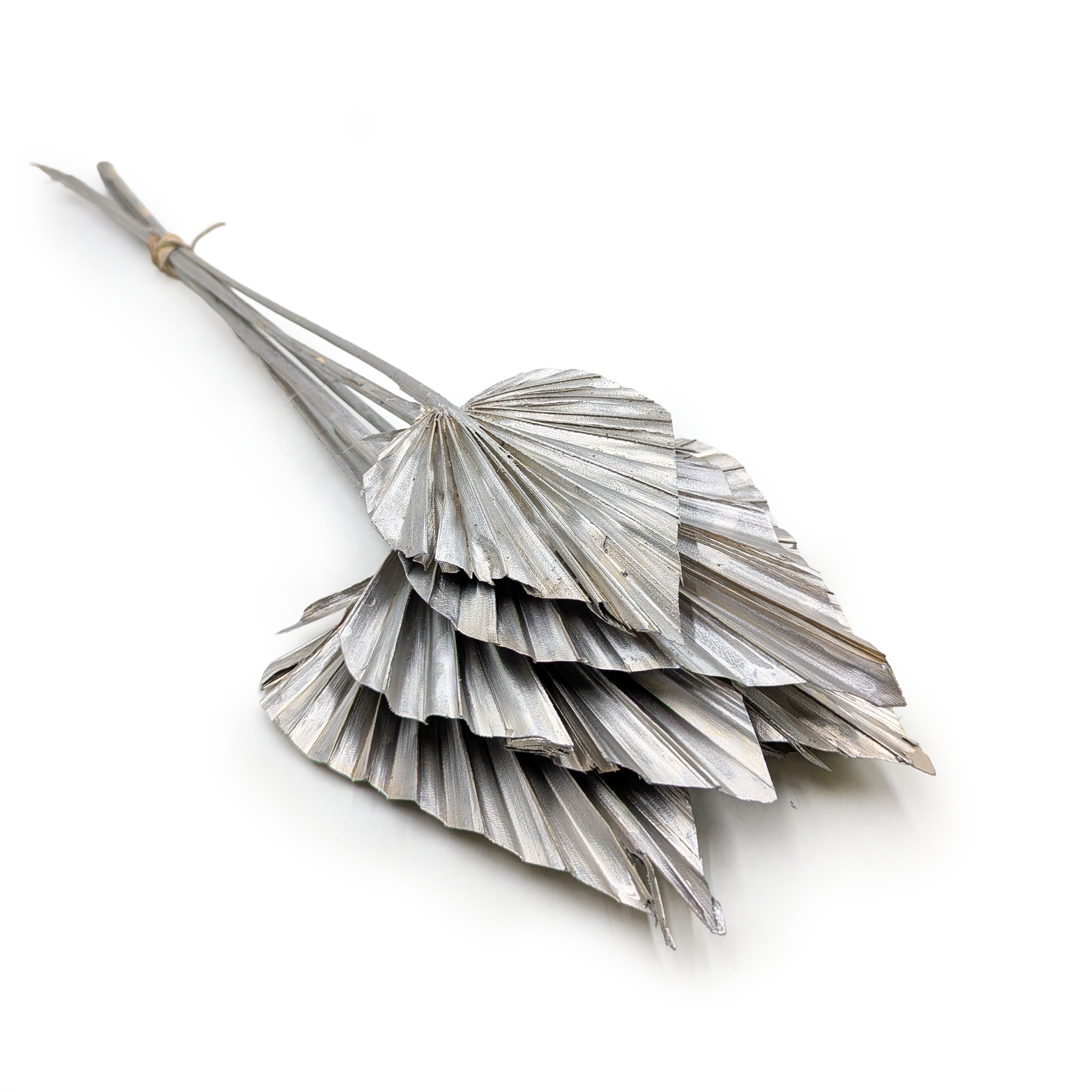 Palma cięta, wachlarz, strzałka (Palm spear) - Srebro platyna